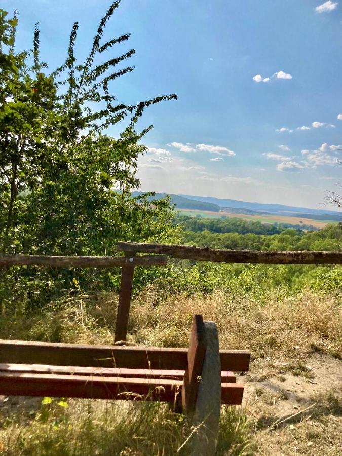 Ferienhaus Moni Mit 2 Separaten Wohnungen Am Silbersee Frielendorf Dış mekan fotoğraf